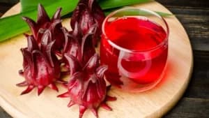 Faida, jinsi ya kuandaa ‘juisi’ ya lozera (choya)