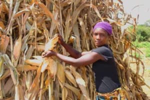Fahamu kiwango cha chakula unachopaswa kuweka akiba kulingana na ukubwa wa familia yako